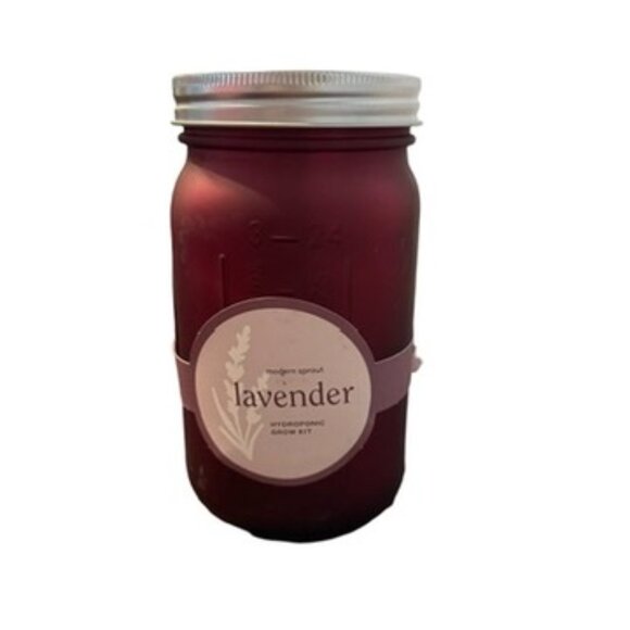 Hydroponic Lavender Grow Kit in Jar - Picture 2 of 4